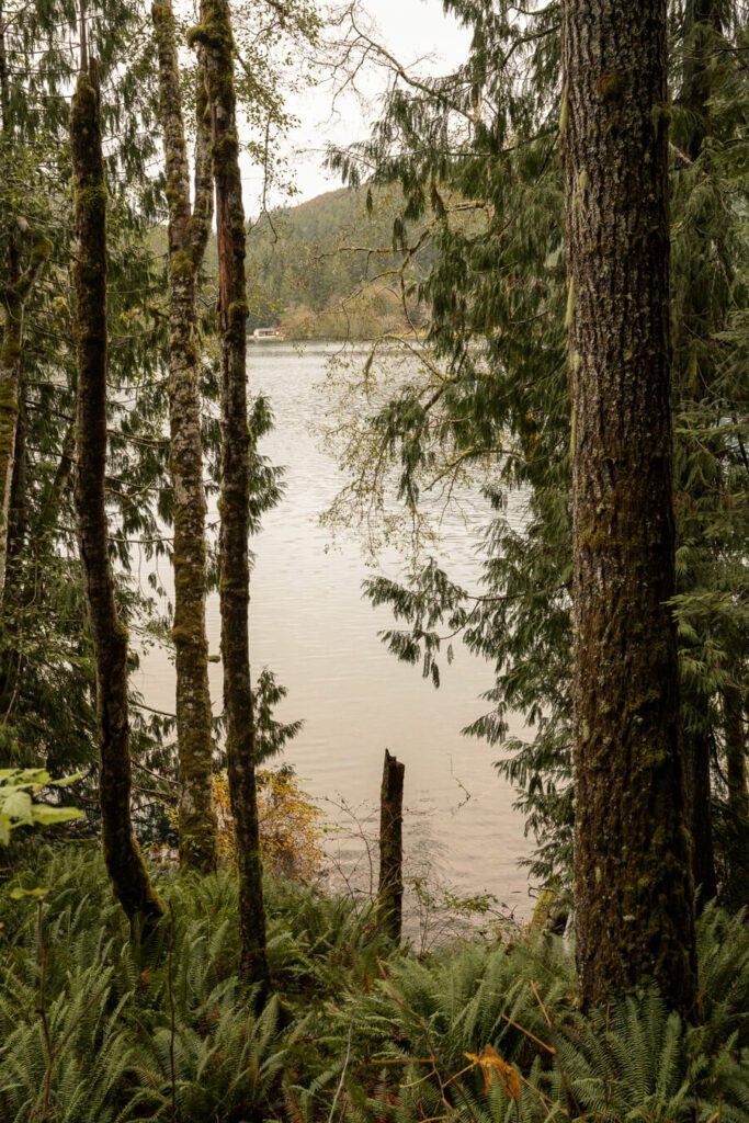 Spruce Railroad Trail and Lake Crescent, Olympic National Park