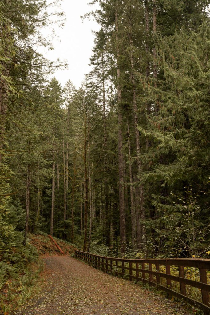 Spruce Railroad trail one of the best beach hikes in Olympic National Park