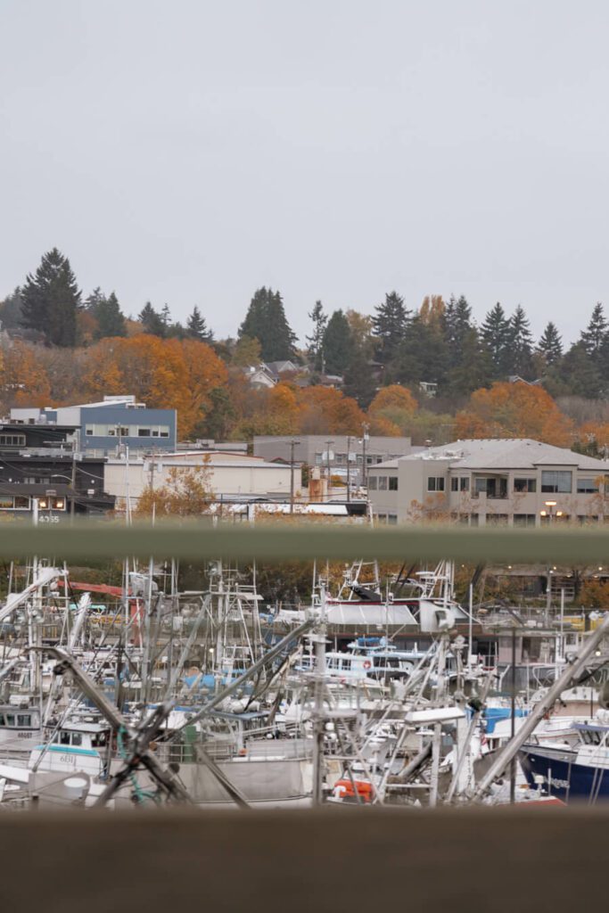 Ballard locks with boats