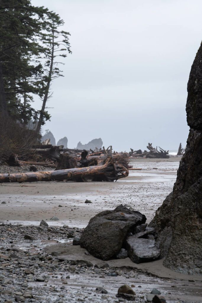 Second Beach, best beach hikes in Olympic National Park