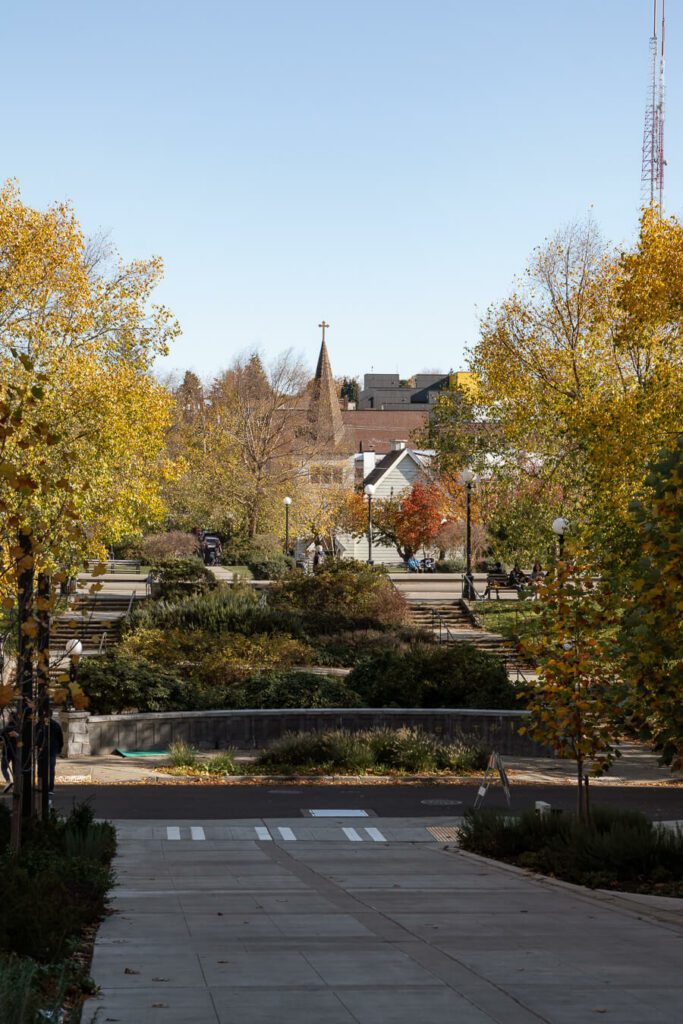 Capitol hill neighborhood street
