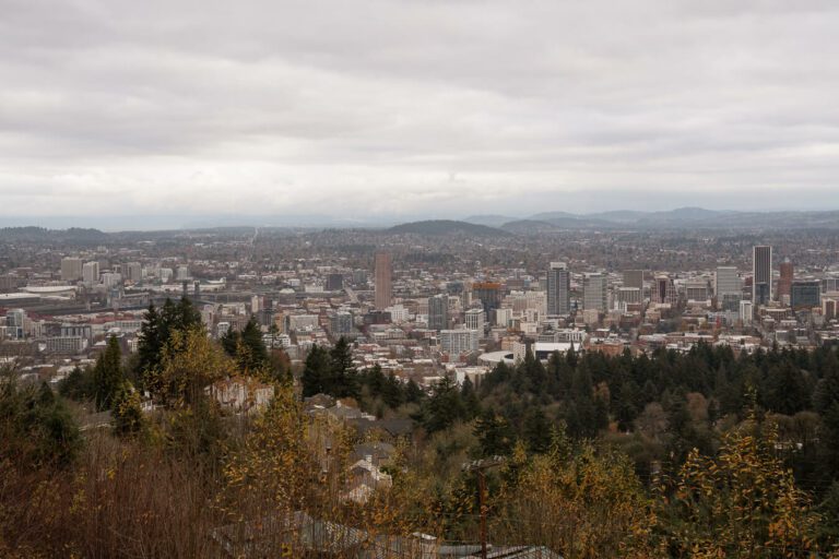 view of portland oregon in the winter