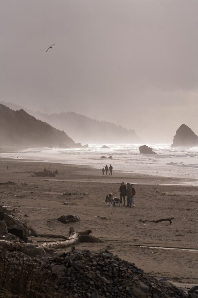 Indian beach, oregon coast