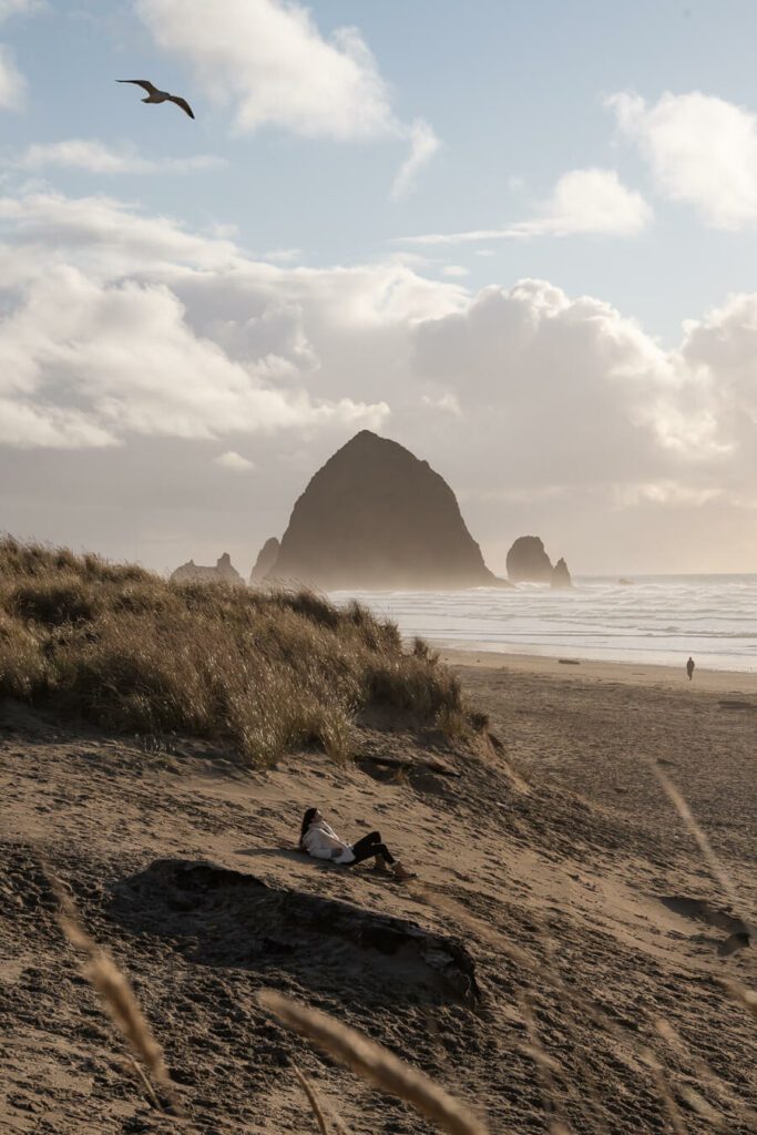 Cannon beach oregon at golden hour