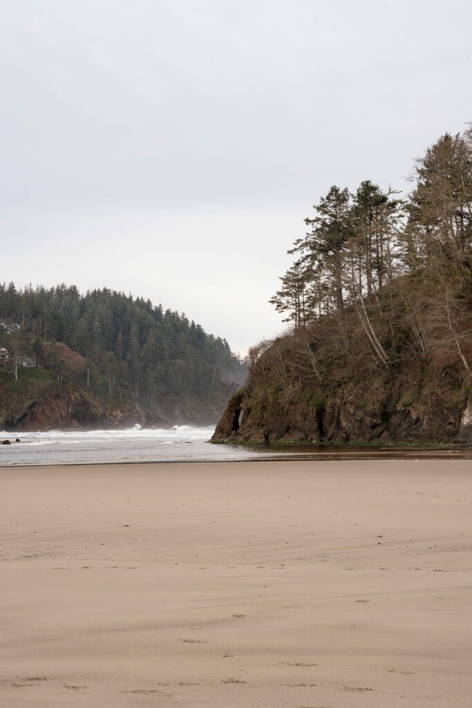 neskowin beach oregon coast
