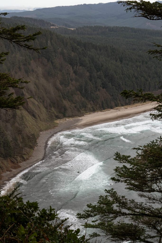 cape lookout scenic viewpoint, oregon coast