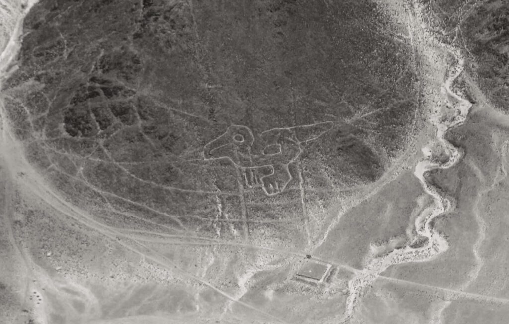 dinosaur figure from a Nazca lines flight peru