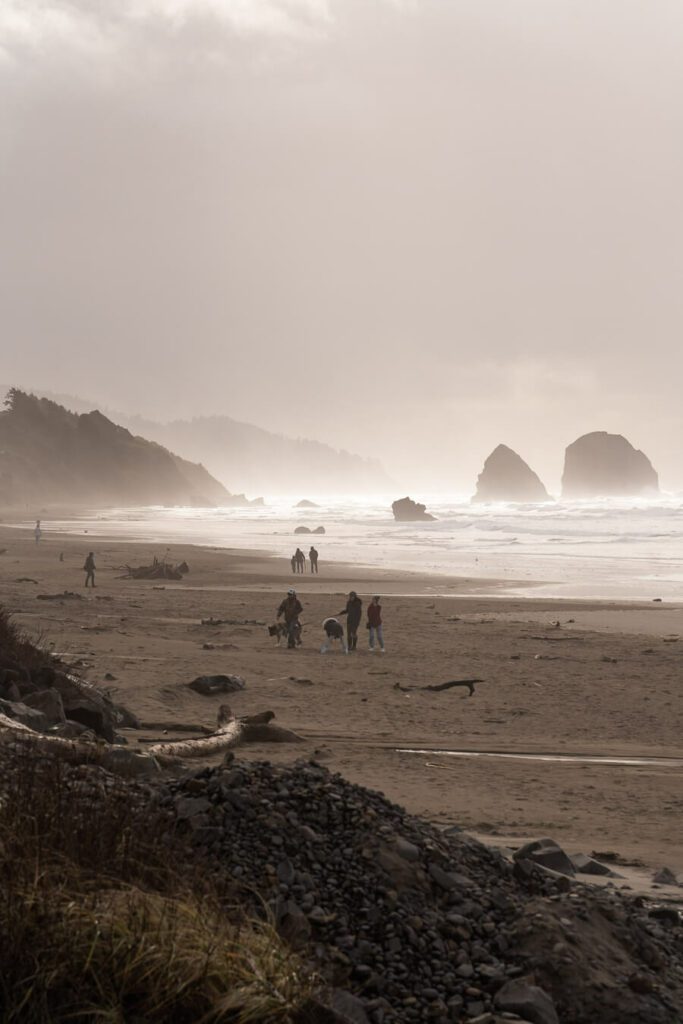 beach at seaside or
