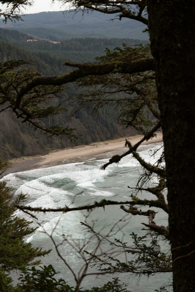 view of the forested, virgin oregon coast