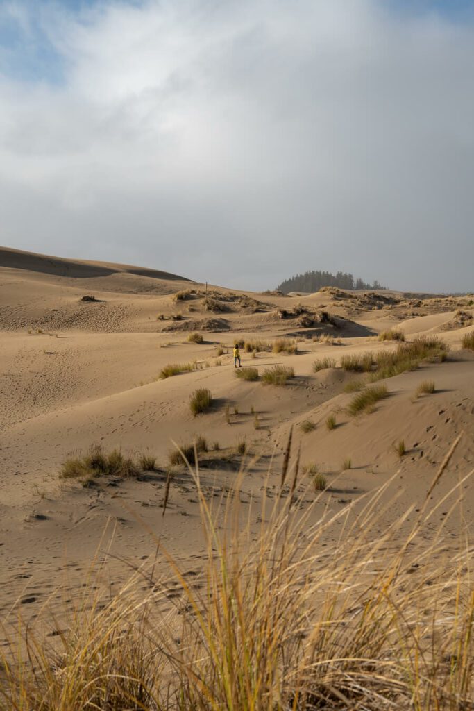 oregon sand dunes