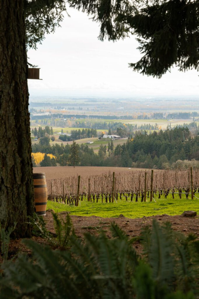 an oregon winery and scenic views of the valley