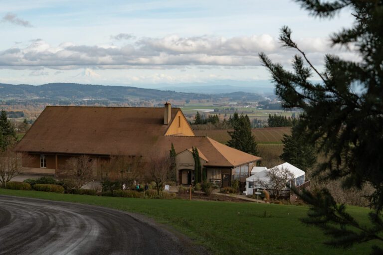 one of the best wineries willamette valley, domaine drouhin