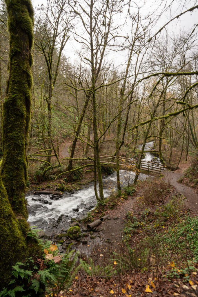 a path leading to a waterfall in Portland