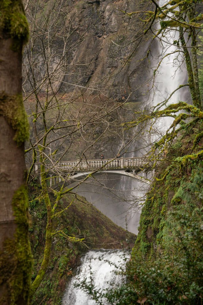 bridge over waterfall with trees and vegetation