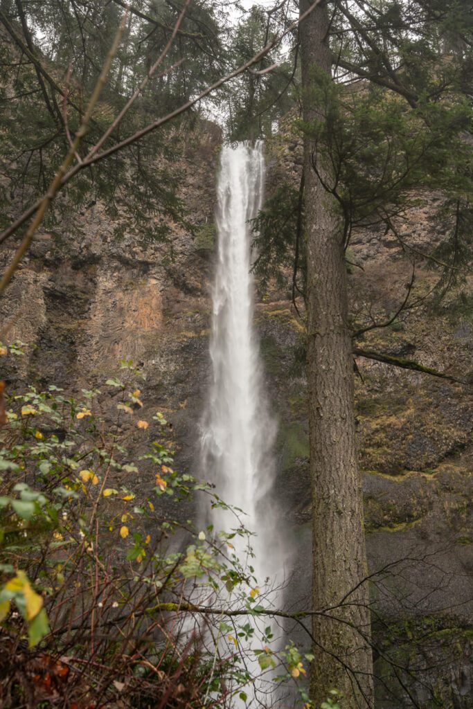 thin but long waterfall in oregon