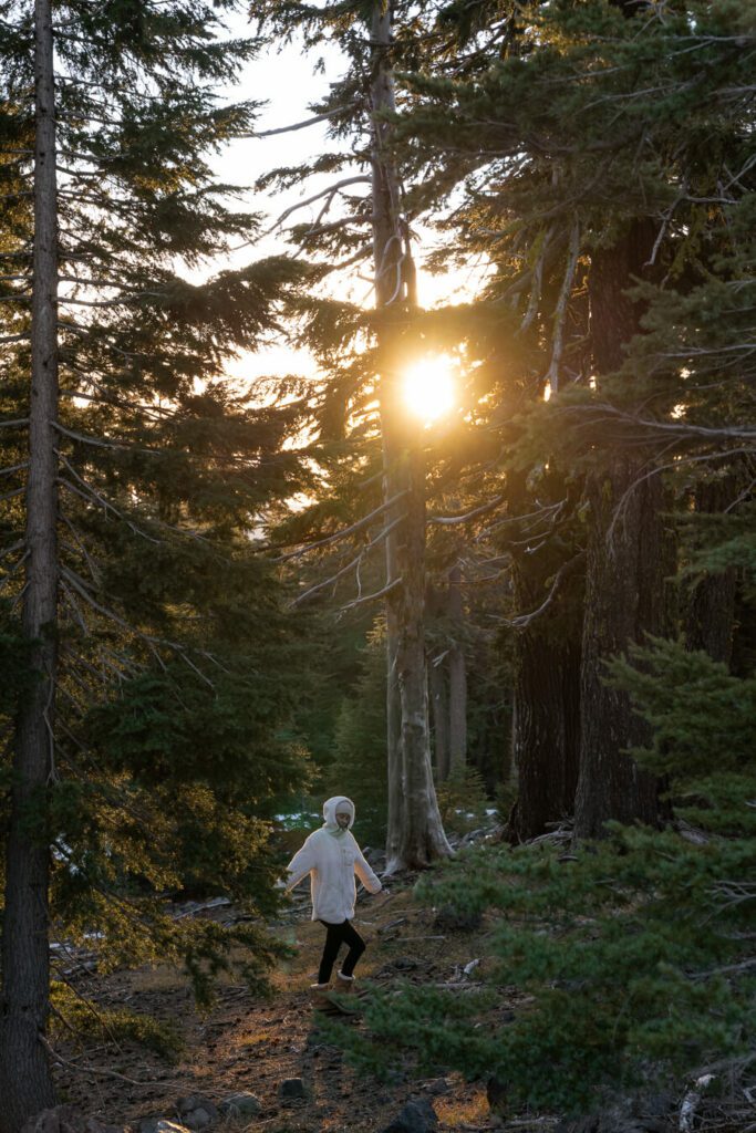 sunset through pines at crater lake