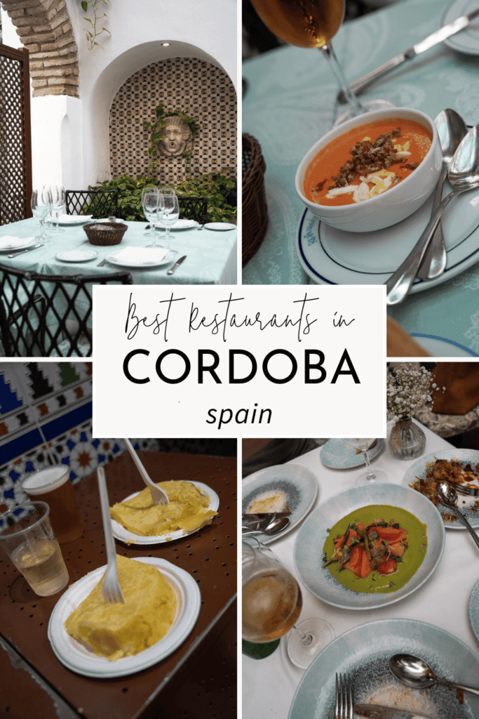cordoba best restaurants