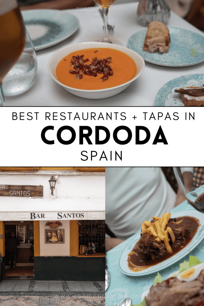 best restaurants in cordoba, a cordoba food guide