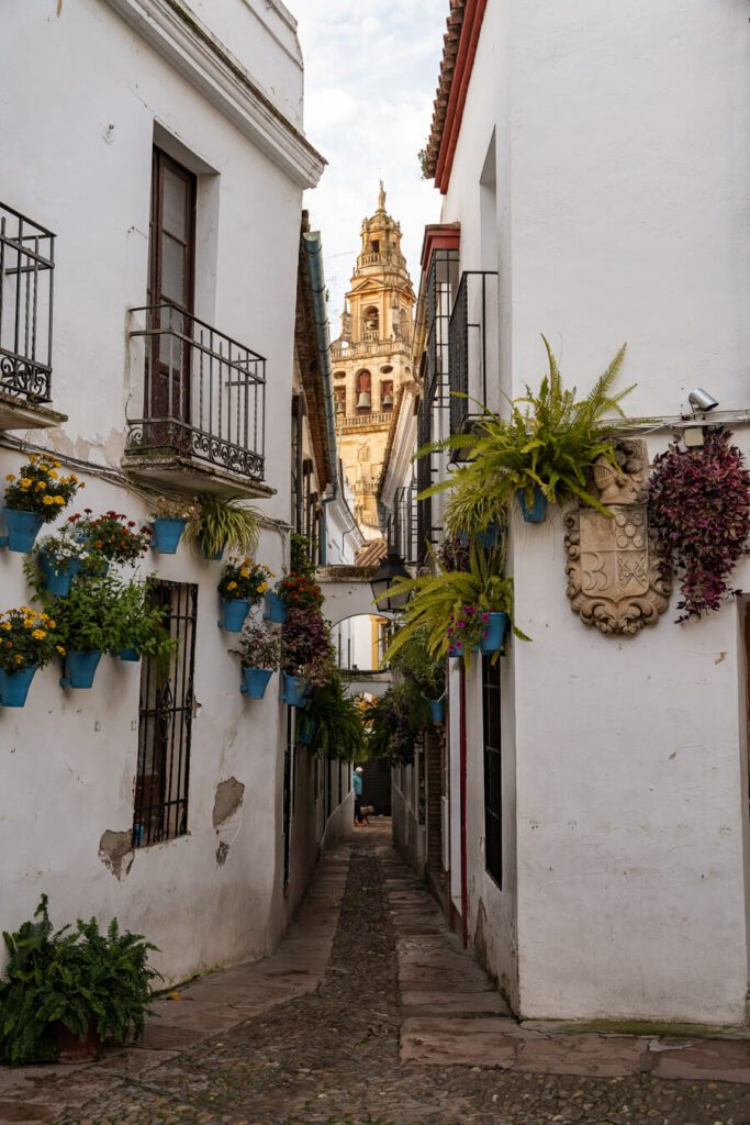 Calleja de la flores in cordoba spain