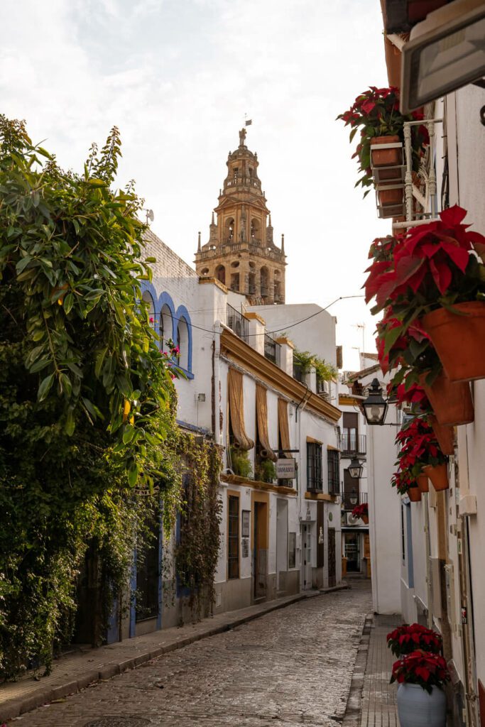 a colorful street in Cordoba Spain