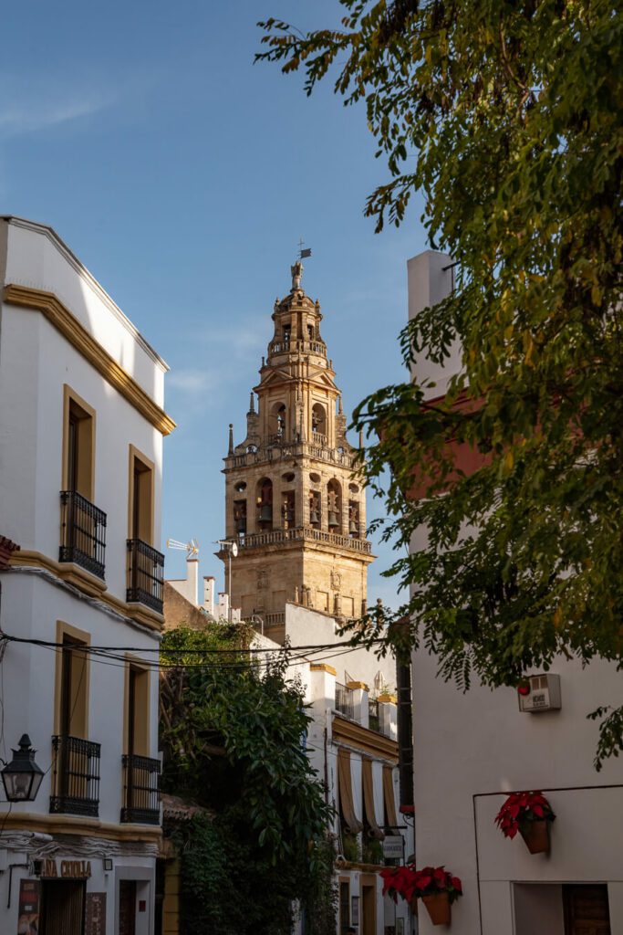 Cordoba spain street with tower
