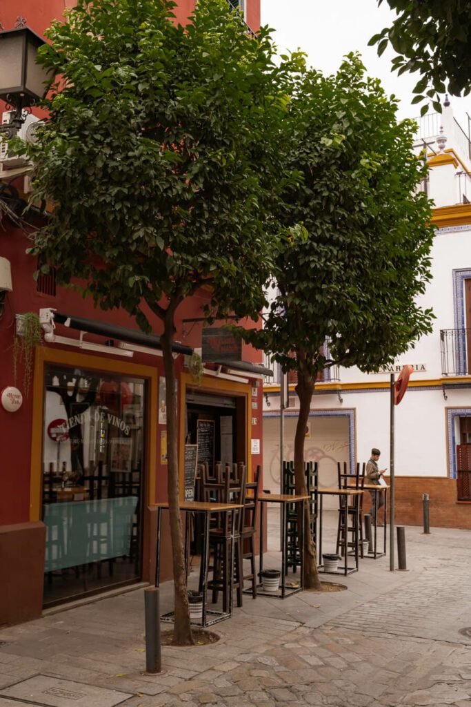 tapas bar on corner in triana seville