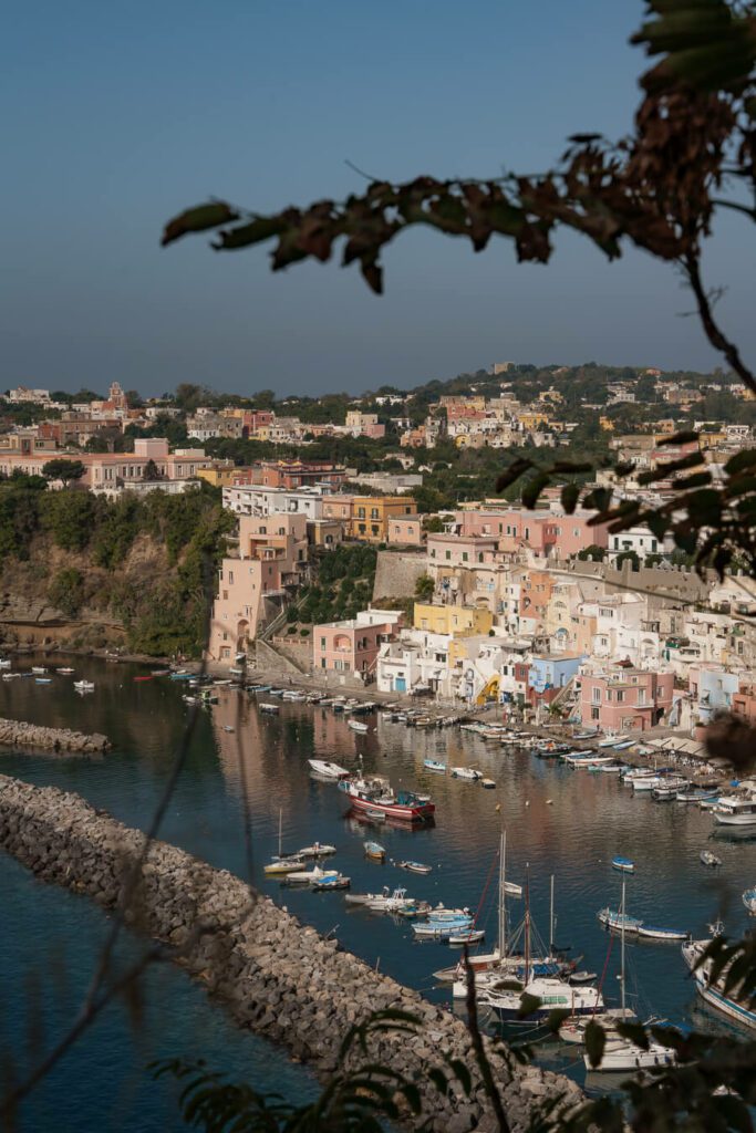 view of Marina Corricella from above
