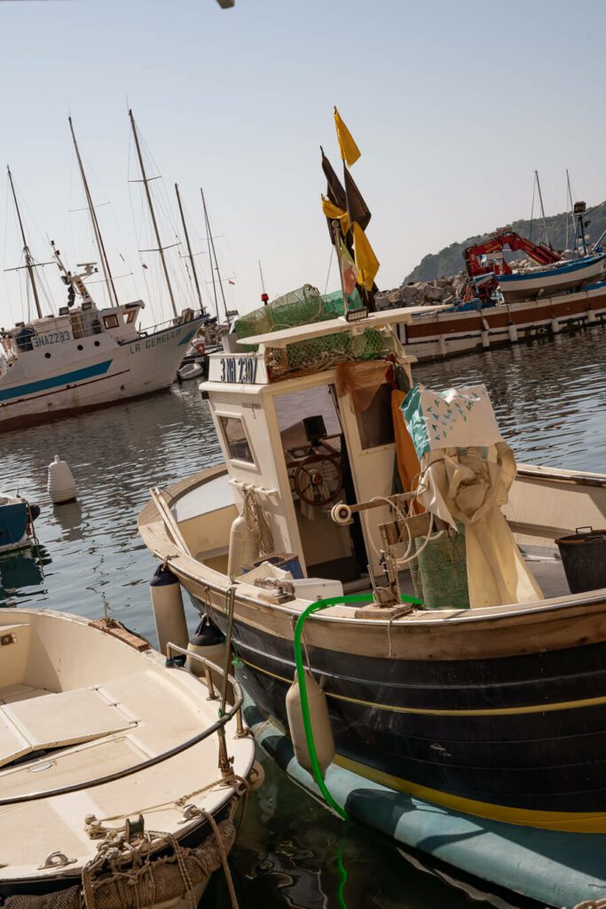 boats in the marina in procida