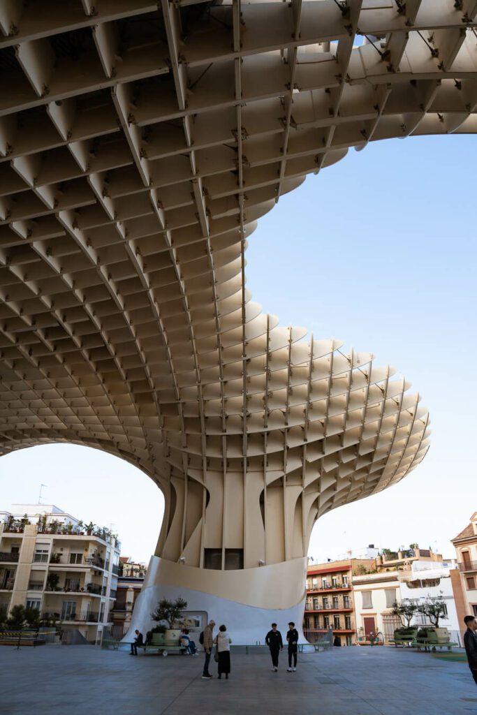 setas de seville from below