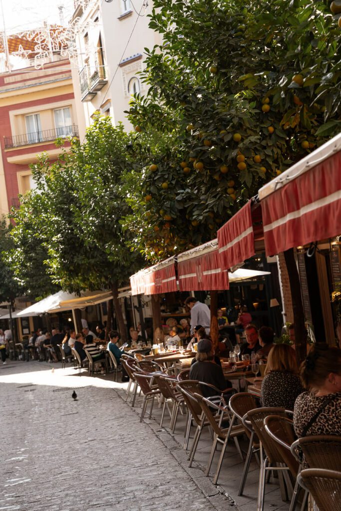 restaurant lined street in santa cruz seville