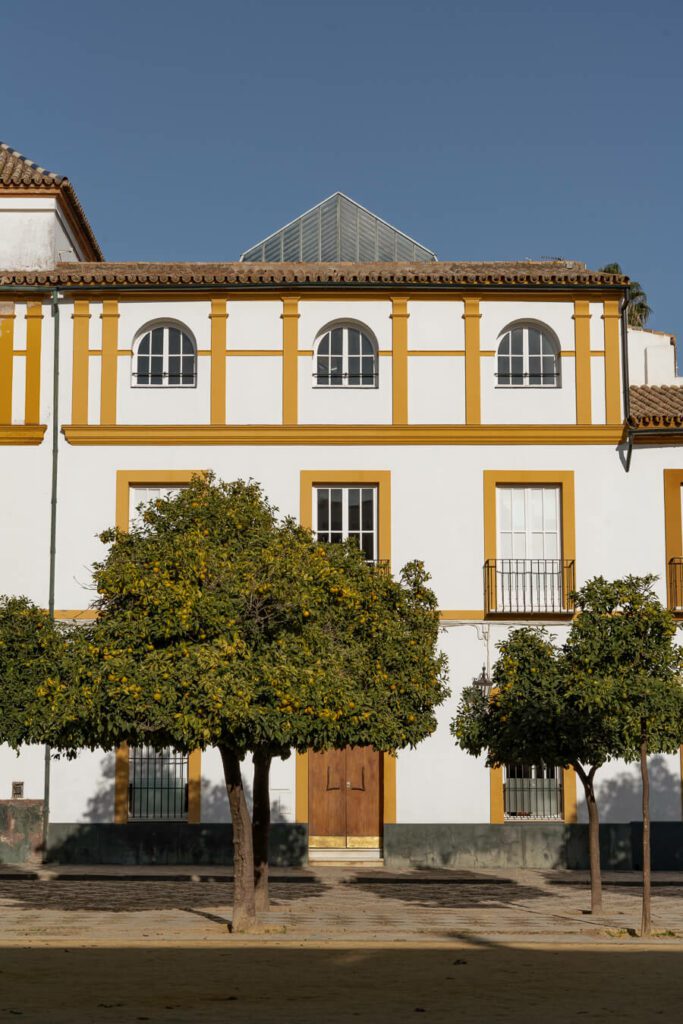 boutique hotel and orange tree in seville
