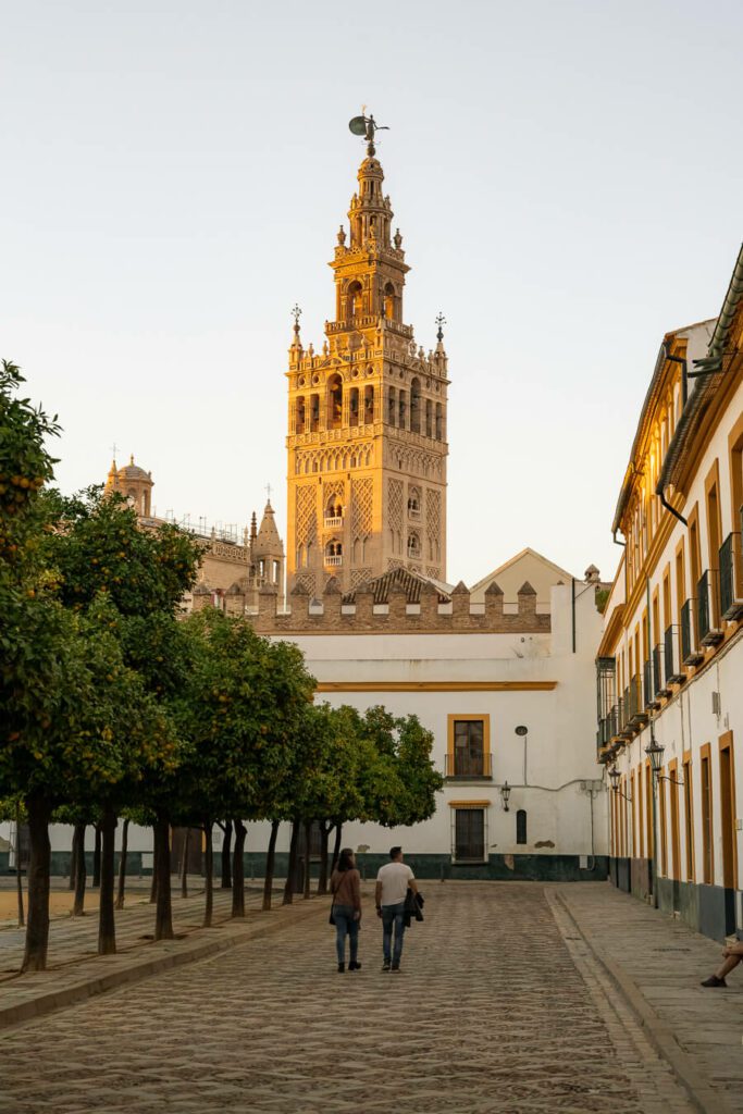 Seville Giralda from Alcazar in seville