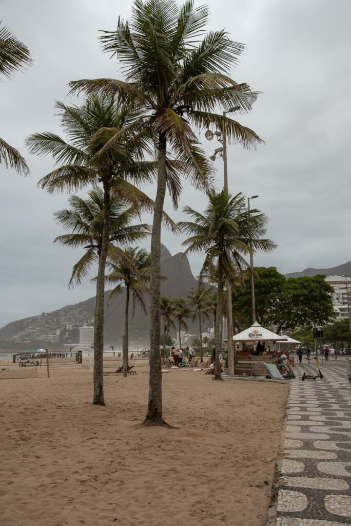 palms at ipanema beach