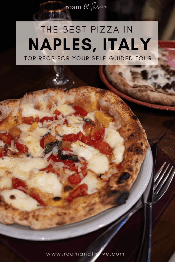 naples pizza tour