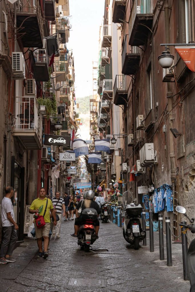 Toldeo neighborhood naples