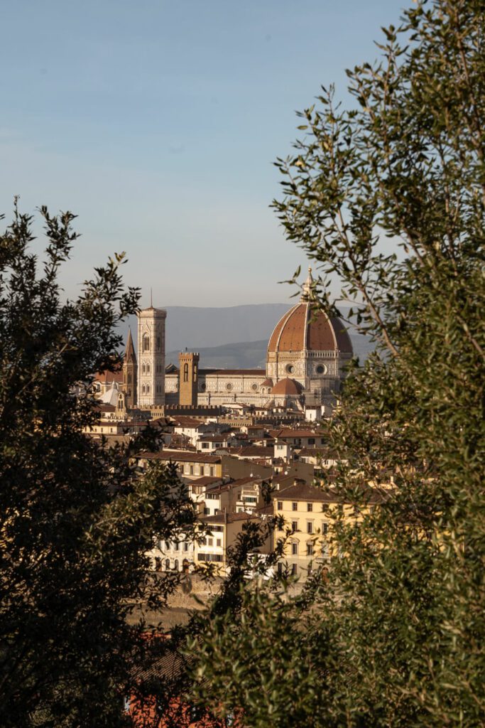 view of florence italy from the rose garden