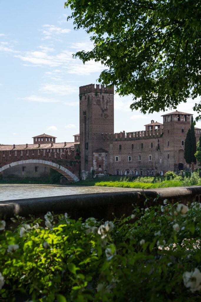 castelvecchio museum and bridge with rose garden