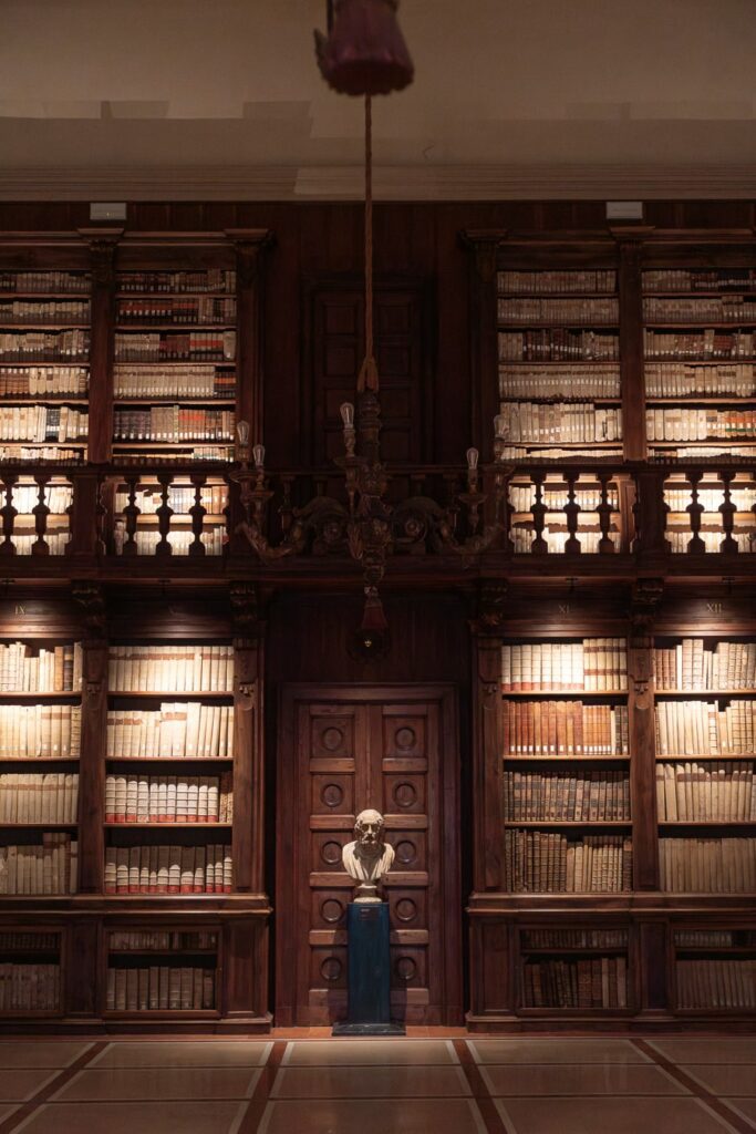 chapter library of verona with homer's head