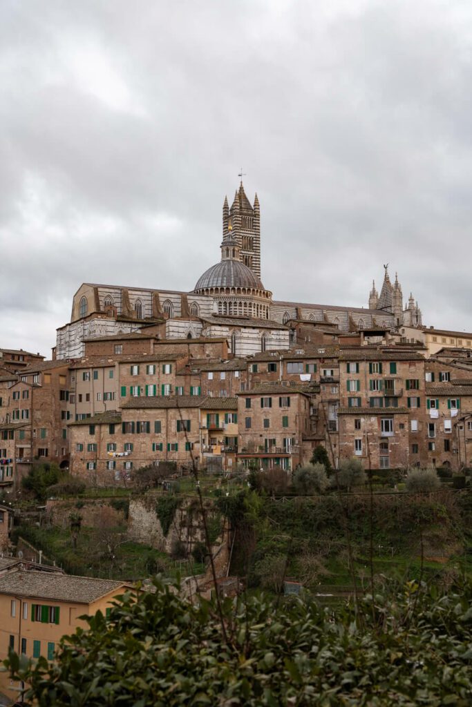 view of siena italy duomo with houses