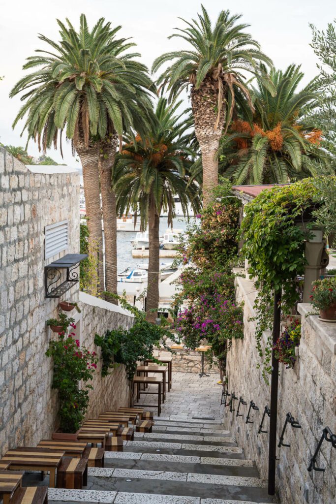 an alleyway side bar with palms in hvar