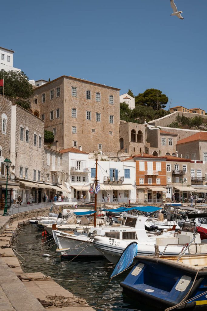 hydra port