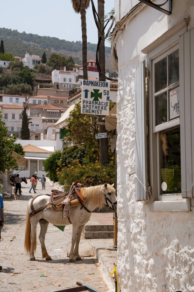 mule on hydra streets