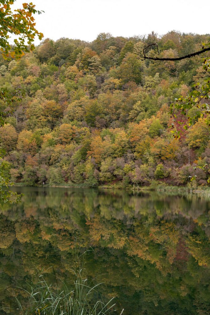 plitvice lakes croatia in autumn, reflections into lake