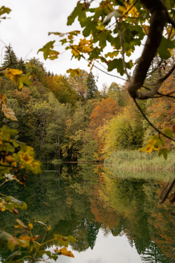 autumn colors at plitvice lakes croatia