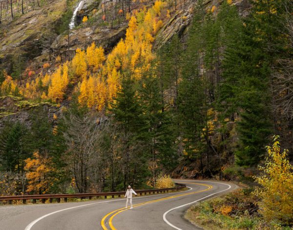 fall foliage in the north cascades washington