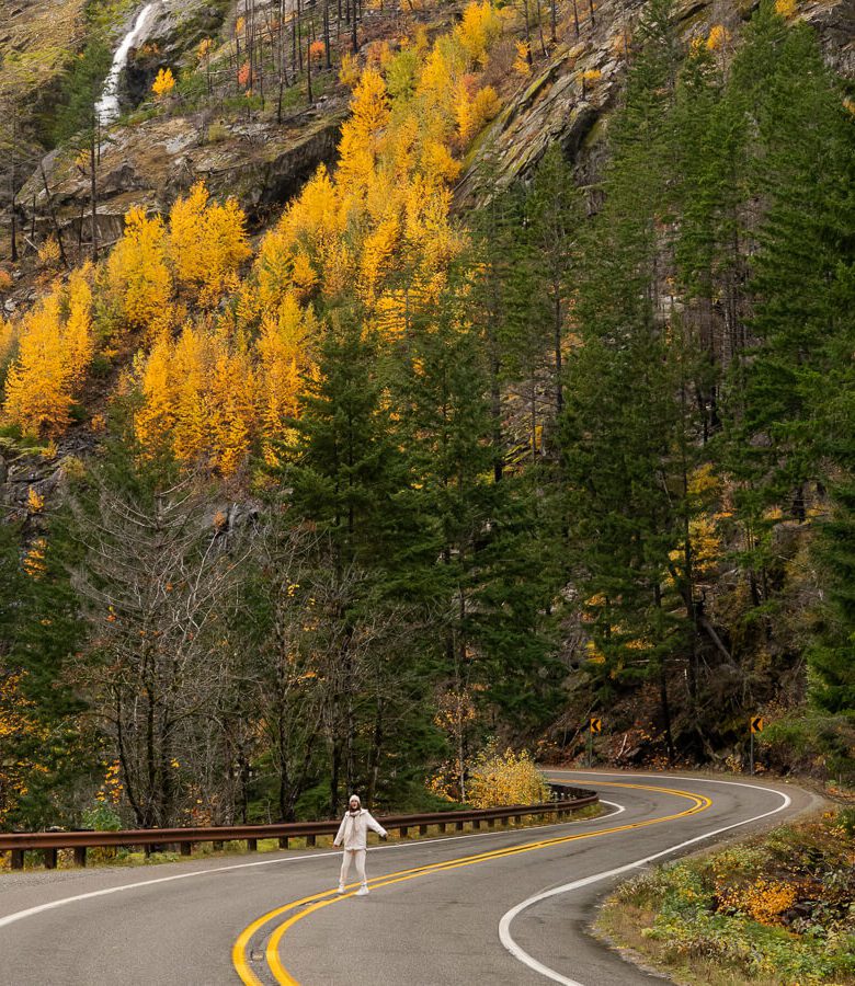 fall foliage in the north cascades washington