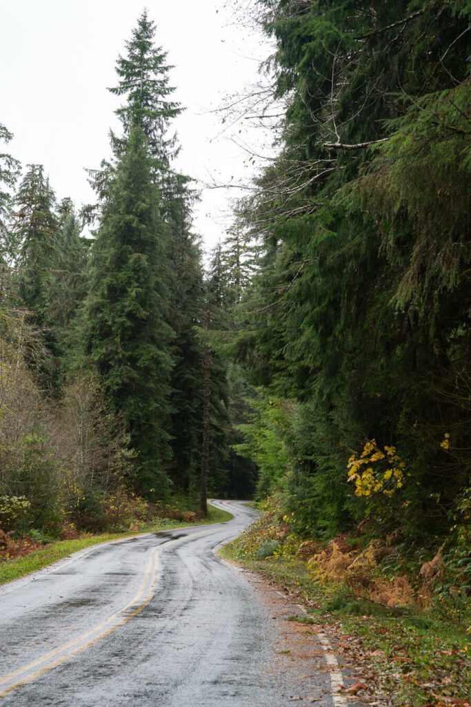 olympic peninsula in the late fall