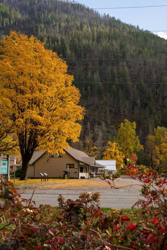 fall foliage in the north cascades, wa