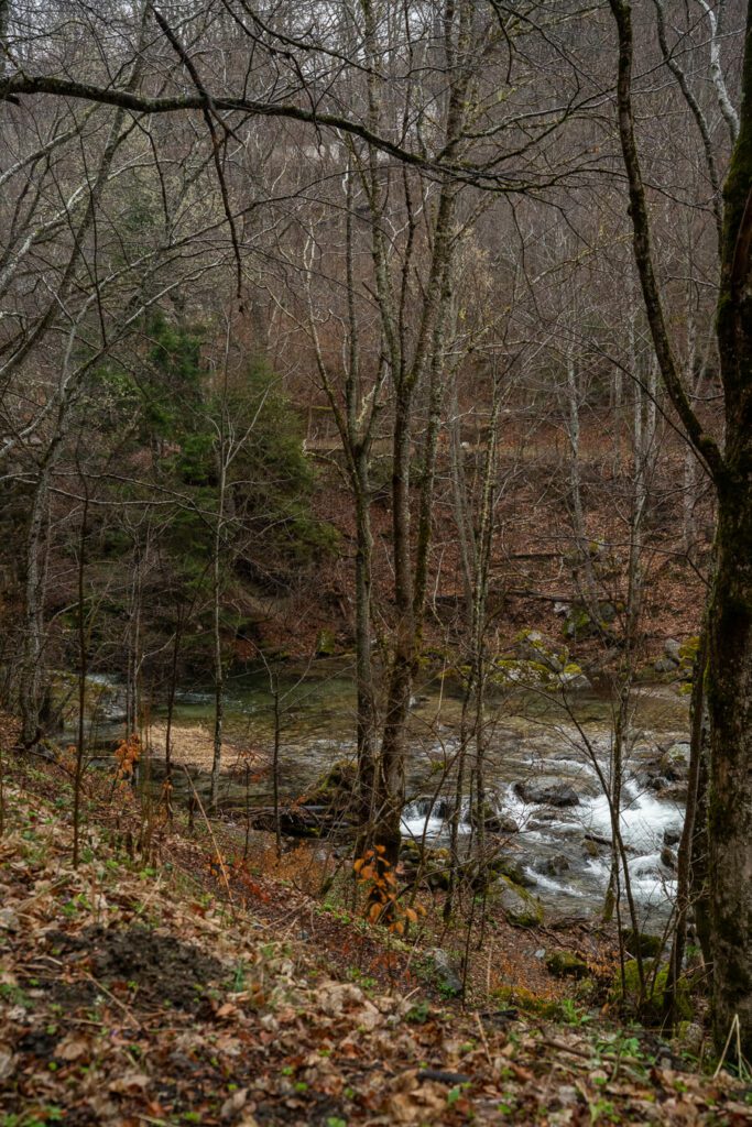 river at rila monastery