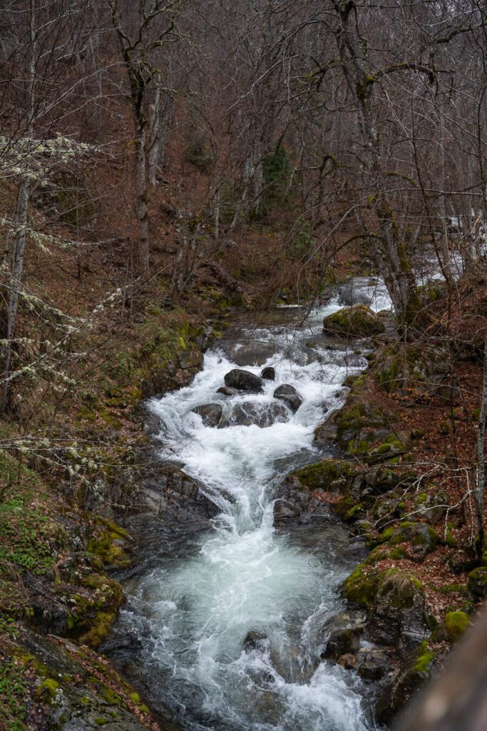 river near rila monastery bulgaria